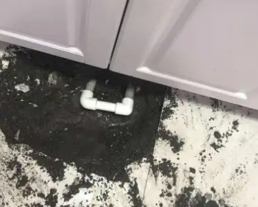 德保查漏水哪家好